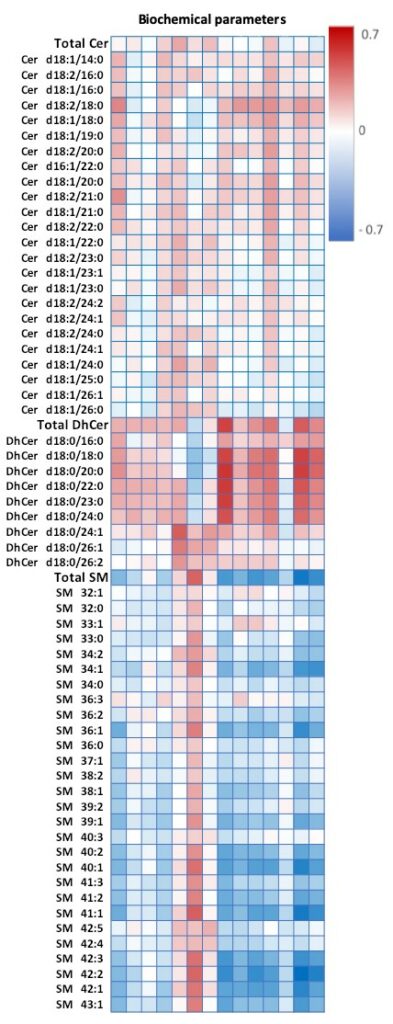 L’attribut alt de cette image est vide, son nom de fichier est FoufelleST1Fig4-393x1024.jpg.